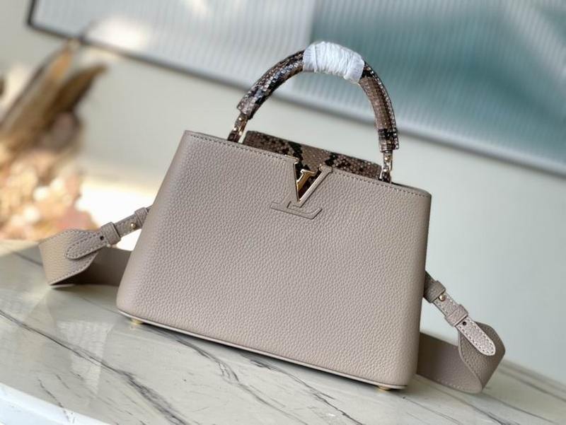 LV Handbags 35